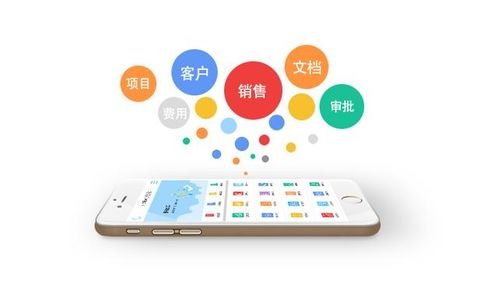 2017中國(guó)軟件生態(tài)大會(huì) 泛微強(qiáng)勢(shì)突圍移動(dòng)辦公領(lǐng)域，引領(lǐng)信息系統(tǒng)集成服務(wù)新浪潮